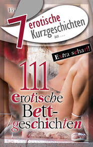 7 erotische Kurzgeschichten aus: \"111 erotische Bettgeschichten Vol. 2\"