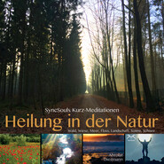 Heilung in der Natur - SyncSouls Kurzmeditationen: Wald, Wiese, Meer, Fluss, Landschaft, Sonne, Schnee