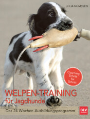 Welpen-Training für Jagdhunde