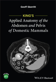 King\'s Applied Anatomy of the Abdomen and Pelvis of Domestic Mammals