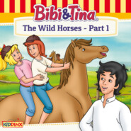 Bibi and Tina, The Wild Horses - Part 1