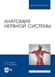 Анатомия нервной системы. Учебное пособие для вузов