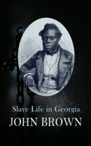 Slave Life in Georgia