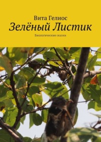 Крупный план зеленого пальмового листа джунглей, украшенного замысловатыми узорами и деталями.