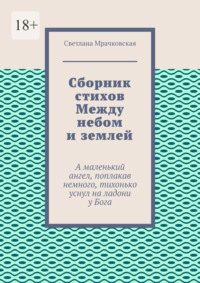 Книга «Между небом и землей» Токарева В.С.