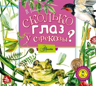 Сколько глаз у стрекозы? — Виталий Танасийчук