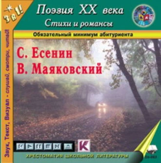 Поэзия XX века. Стихи, поэмы, романсы