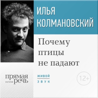 Лекция «Почему птицы не падают» — Илья Колмановский