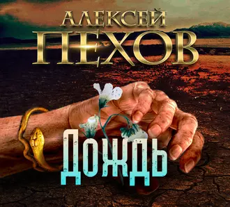 Дождь — Алексей Пехов