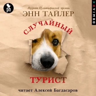 Случайный турист - Энн Тайлер