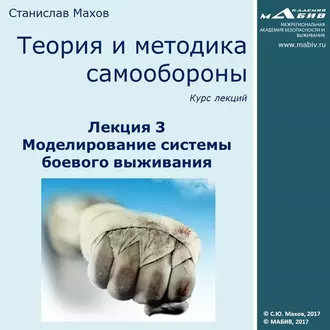 Лекция 3. Моделирование системы боевого выживания - С. Ю. Махов