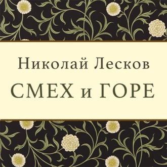 Смех и горе - Николай Лесков