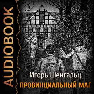 Провинциальный маг. Фактор Трикстера - Игорь Шенгальц