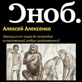 Эволюция от негра до голландца: естественный отбор продолжается? - Алексей Алексенко