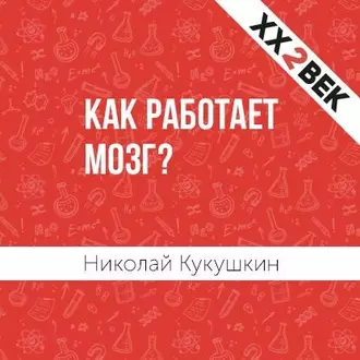 Как работает мозг? - Николай Кукушкин