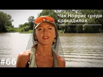 Чак Норрис среди крокодилов - Евгения Тимонова