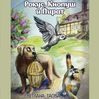 Рокус, Кнопуш и Пират - Светлана Таова