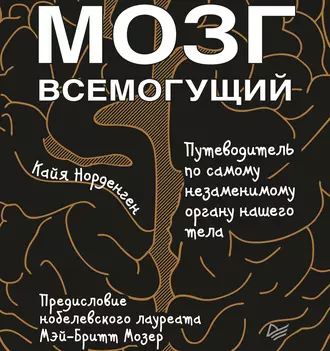 Мозг всемогущий. Путеводитель по самому незаменимому органу нашего тела - Кайя Норденген