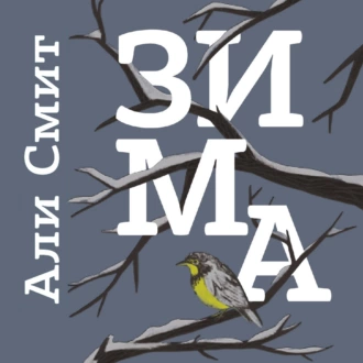 Зима — Али Смит