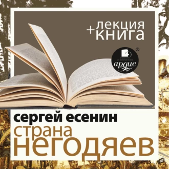 Есенин С. Страна негодяев в исполнении Дмитрия Быкова + Лекция Быкова Д. - Сергей Есенин