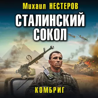 Сталинский сокол. Комбриг — Михаил Нестеров