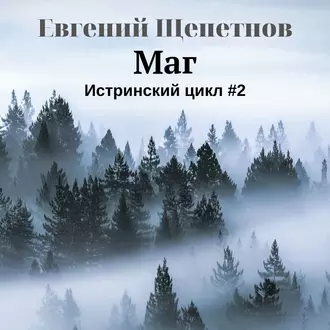 Маг - Евгений Щепетнов