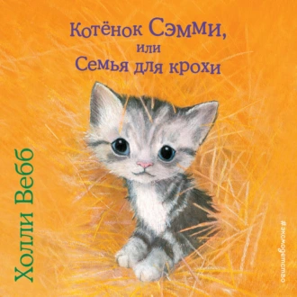 Котенок Сэмми, или Семья для крохи — Холли Вебб