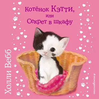 Котенок Кэтти, или Секрет в шкафу - Холли Вебб