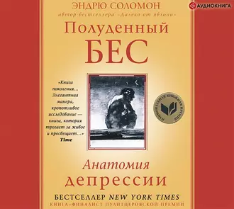 Полуденный бес. Анатомия депрессии — Эндрю Соломон