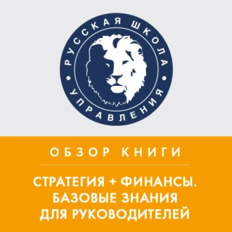 Обзор книги В. Савчука «Стратегия + финансы. Базовые знания для руководителей» — Лариса Плотницкая