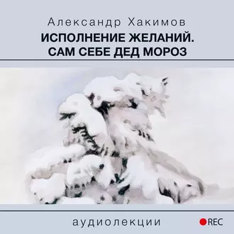 Исполнение желаний. Сам себе Дед Мороз — Александр Хакимов