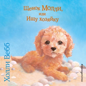 Щенок Молли, или Ищу хозяйку - Холли Вебб