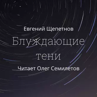 Блуждающие тени - Евгений Щепетнов