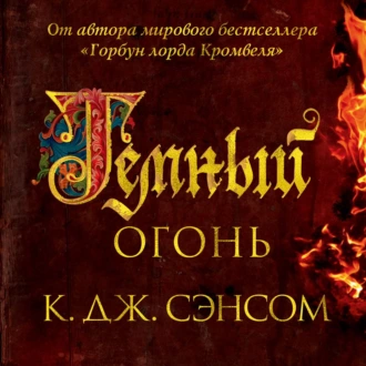 Темный огонь - Кристофер Джон Сэнсом