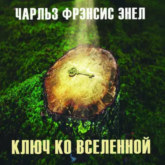 Система: Ключ ко Вселенной — Чарльз Фрэнсис Энел