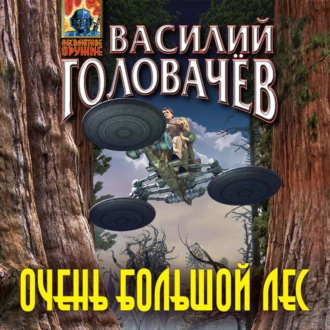 Очень большой лес - Василий Головачёв