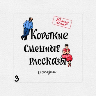 Короткие смешные рассказы о жизни 3 - Александр Богданович