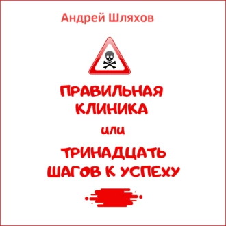 Правильная клиника, или 13 шагов к успеху - Андрей Шляхов