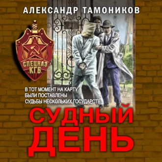 Судный день - Александр Тамоников