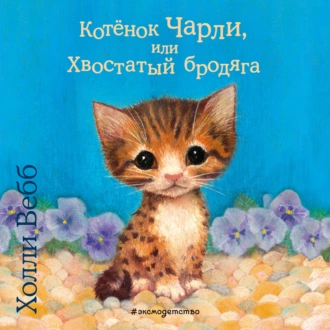 Котёнок Чарли, или Хвостатый бродяга — Холли Вебб