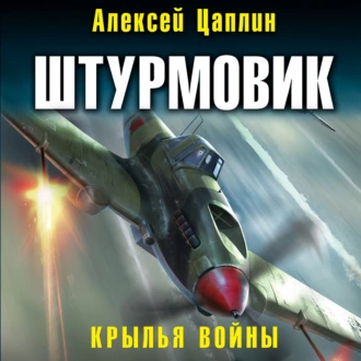 Штурмовик. Крылья войны — Алексей Цаплин