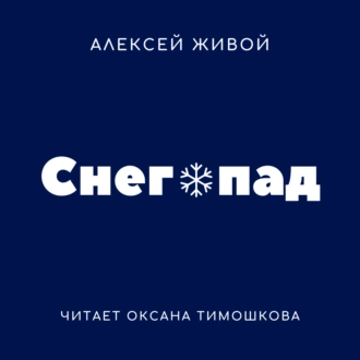 Снегопад — Алексей Живой