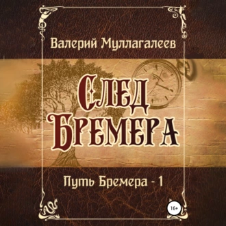 След Бремера - Валерий Владимирович Муллагалеев