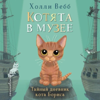 Тайный дневник кота Бориса — Холли Вебб