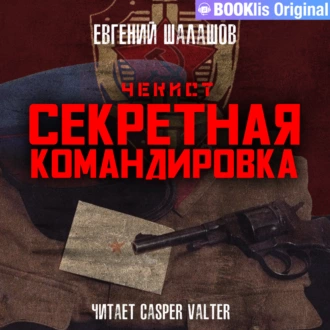 Чекист. Секретная командировка. — Евгений Шалашов