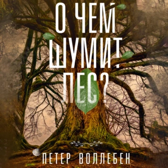 О чем шумит лес? - Петер Вольлебен