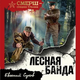 Лесная банда — Евгений Сухов