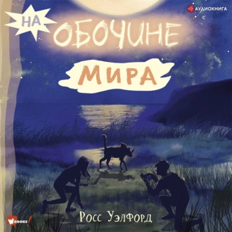 На обочине мира — Росс Уэлфорд