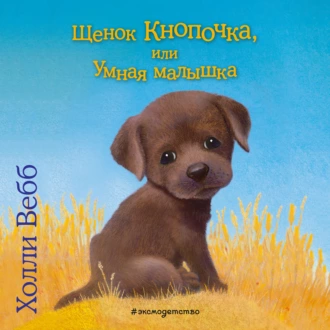 Щенок Кнопочка, или Умная малышка - Холли Вебб