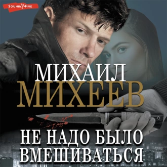 Не надо было вмешиваться - Михаил Михеев